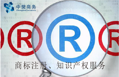 雄安新區(qū)公司注冊(cè)指南 周期、流程與知識(shí)產(chǎn)權(quán)服務(wù)全解析